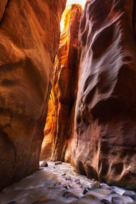 No Permits Issued for Narrows Hike in Zion | Zion National Park Zion Narrows Hike, Zion Narrows, Temple Of Sinawava, Earth Beautiful, Zion Canyon, Horse Ranch, National Park Service, Scenic Drive, Zion National Park