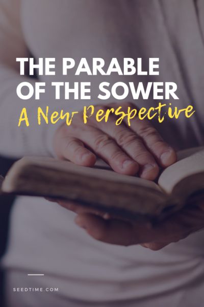 Biblical Stewardship, The Parable Of The Sower, Bible Parables, Parable Of The Sower, Spirit Food, Youth Lessons, Parables Of Jesus, Bible Study Help, Bible Women