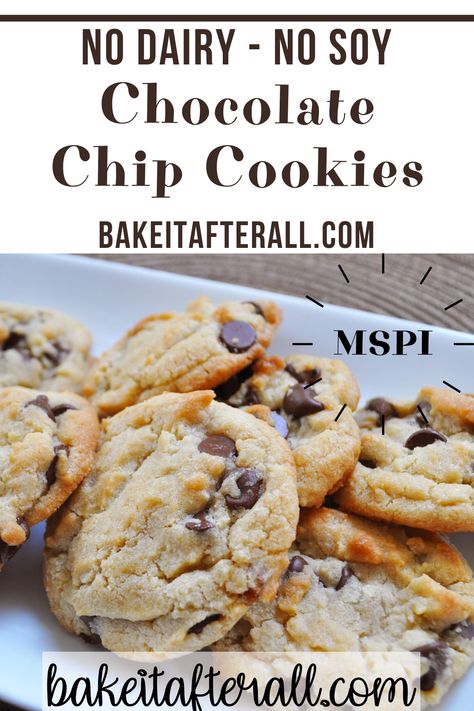 Soy Free Cookies, Mspi Recipes, Dairy Free Deserts, Dairy Free Chocolate Chip Cookies, Soy Free Desserts, Dairy Free Breastfeeding, Dairy Free Soy Free, Dairy Free Baking, Dairy Free Recipes Dinner