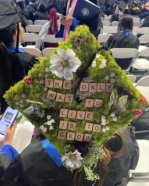 Commencement on our minds, fabulous grad caps on our heads! Check out these fantastic cap designs from our recent grads! 🎓💙#TheStateWay… | Instagram Unique Caps For Graduation, Decorative Graduation Caps, Cool Cap Ideas, Pitbull Graduation Cap, Creative Graduation Cap Designs, Grad Cap Ideas Bookworm, Decorated College Graduation Caps, Graduation Cap Designs Tlou, Grab Cap Ideas