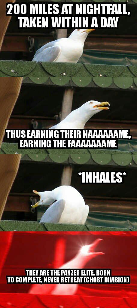 Great band, great songs, great lyrics Bird Screaming, Bird Meme, 4 Panel Life, Alien Isolation, Hamilton Funny, Hamilton Memes, Hamilton Musical, Theatre Nerds, Funny Birds