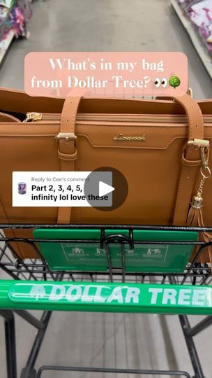 Forrest Frank, Dollar Tree Organization, Dollar Tree Haul, Dollar Tree Hacks, Dollar Store Hacks, Purse Essentials, Dollar Tree Finds, Smart Ideas, What In My Bag