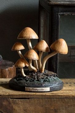 Mushroom Cottage, Mushroom Crafts, Mushroom Decor, Mushroom Art, Polymer Clay Art, Clay Projects, Wood Turning, Clay Art, Clay Crafts