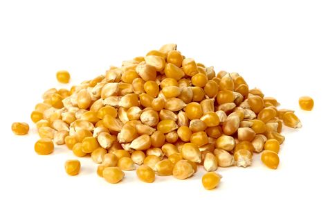 Popcorn Seeds, Corn Grain, Black Wigs, Cow Ghee, Soy Oil, Popcorn Kernels, Corn Seed, Yellow Corn, Flavored Popcorn