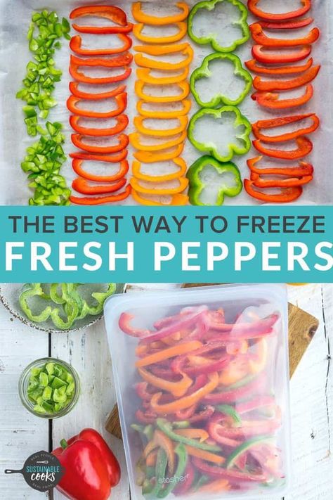 Learn all the tips and tricks for freezing peppers to save a ton of time and money. Learning how to freeze peppers (diced, sliced, rings, and whole) is a great way to preserve this delicious staple of so many recipes. A freezer stash of frozen peppers opens the door to amazing and speedy meals. How To Freeze Peppers, Freezing Green Peppers, Freeze Peppers, Freezing Food Guide, Freezing Bell Peppers, Money Learning, Cooking Peppers, Freezing Peppers, Fast Meals