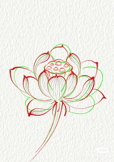 Lotus Drawing Art, Lotus Sketch, Small Lotus Flower Tattoo, Flower Tattoo Stencils, Lotus Drawing, Lotus Tattoo Design, Egypt Tattoo, Ornament Drawing, Japanese Artwork