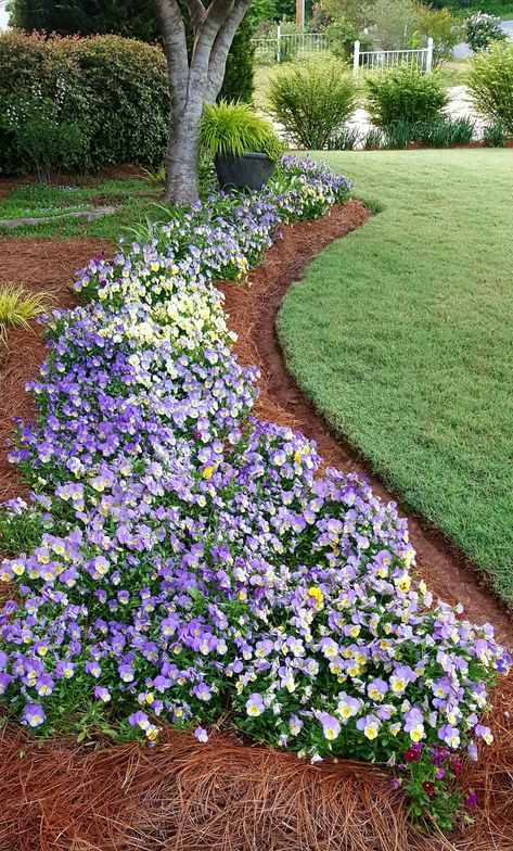 Front Yard Landscaping Georgia, Georgia Landscaping Ideas, South Georgia Landscaping Ideas, Georgia Landscape Ideas, Fall Landscaping Front Yard, Flower Garden Aesthetic, Georgia Gardening, Georgia Garden, Fall Landscaping