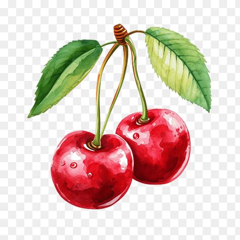 cherry clipart Cherry Template, Cherry Cartoon, Fruit Drawings, Cherry Clipart, Cherry Drawing, Cartoon Birthday Cake, Fruit Puns, Bat Flying