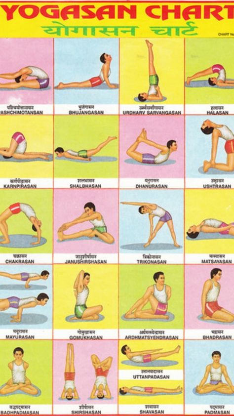 Yogasana Chart, Kidney Exercise, Advance Asanas, Mckenzie Exercises, Yoga Asanas Names, All Yoga Asanas With Names, Visvamitrasana Yoga Poses, Yoga Aasan With Name, Yoga Asanas Names Sanskrit