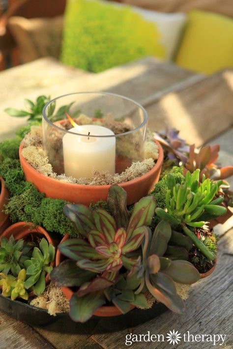 Succulent Centerpiece, نباتات منزلية, Tafel Decor, Succulent Centerpieces, Succulent Wedding, Succulents In Containers, Mini Succulents, Succulent Arrangements, Cactus Y Suculentas