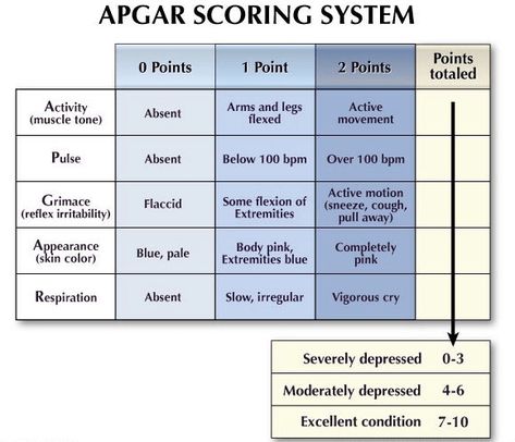 Virginia Apgar, Notes English, Apgar Score, Bsc Nursing, Course Notes, Nurse Cartoon, Doula Care, Nursing Classes, Written Notes