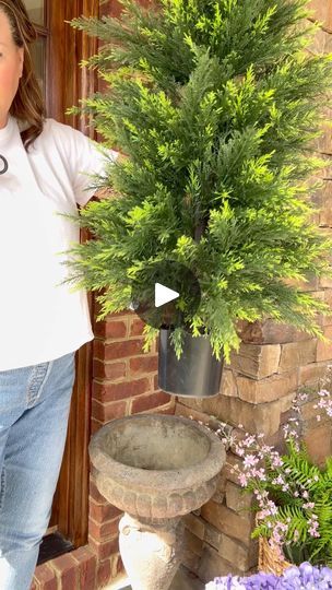 Faux Porch Plants, Fake Ferns On Front Porch, Faux Plants For Front Porch, Potted Plants Patio, Porch Plants, Old Trunks, Patio Pots, Faux Tree, The Trunk