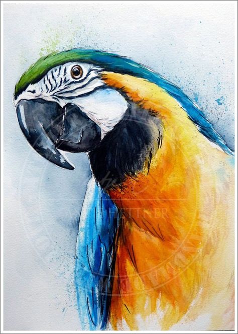 Bird Drawings Reference, Watercolor Art Animals, Watercolor Animal Paintings, Animal Watercolor Paintings, Parrot Watercolor, Watercolour Bird, Animal Paintings Acrylic, Parrot Painting, Parrots Art