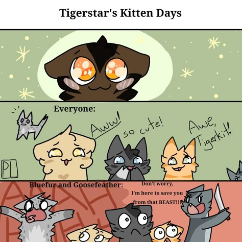 Tigerstar Fanart, Warrior Cats The New Prophecy, Warrior Cats The Prophecies Begin, Warriors Memes, Warrior Cats Funny, Warrior Cat Memes, Warrior Cats Comics, Warrior Cats Series, Warrior Cats Books