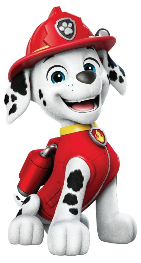 Sharlene San Pedro, Free Valentine Cards, Paw Patrol Stickers, Paw Patrol Rocky, Colored Characters, Paw Patrol Cartoon, Paw Patrol Marshall, Animal Birthday Cakes, Psi Patrol