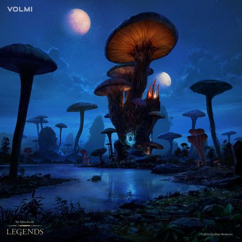 ArtStation - Emeric's Warlord, Volmi Games Shroom Forest, Elder Scrolls Legends, Scenery Tattoo, Skyrim Art, Elder Scrolls Art, Arte Alien, Fantasy Forest, The Elder Scrolls, Alien Worlds