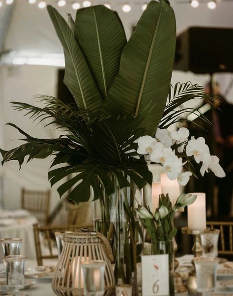 Venue Party Decorations, Wedding Decor Plants, Tropical Theme Engagement Party, Wedding Tropical Centerpieces, Monstera Wedding Centerpieces, Wedding Florals Tropical, Jungle Glam Wedding, Tropical Wedding Decor Ideas, Hawaiian Wedding Centerpieces