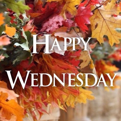 Fall Wednesday, Wednesday Fall, Wednesday Morning Greetings, Wednesday Images, Fall Greetings, Happy Wednesday Images, Wednesday Greetings, Wednesday Blessings, Week Quotes