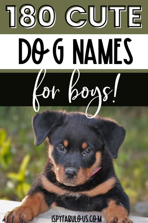 Cutest Puppy Names, Puppy Names Boy Unique, Small Dog Names Boys, Frenchie Puppy Names, Best Dog Names Boys, Male Dog Names Unique With Meaning, Cute Dog Names Male, Make Dog Names, Small Male Dog Names