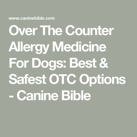 Over The Counter Allergy Medicine For Dogs: Best & Safest OTC Options - Canine Bible Allergy Medicine For Dogs, Over The Counter Meds For Dogs, Best Allergy Medicine, Medicine For Dogs, Meds For Dogs, Allergy Medicine, Dog Itching, Dog Nutrition, Allergy Relief