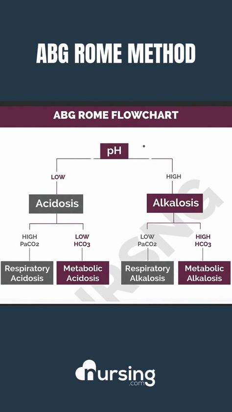 16K views · 261 reactions | ABG Rome Method- for more Go to scubcheats.com Happy Nursing🫶 #nclexprep #nursing #nursingstudent #nclex #nclexreview #nursingstory #nursingexperience #nursinglife #abg #abgrome | NURSING.com | NURSING.com · Original audio Acidosis And Alkalosis, Metabolic Acidosis, Nclex Review, Nclex Prep, Respiratory, Nclex, Flow Chart, Nursing Students, Rome