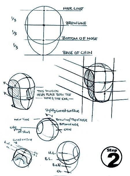 Loomis Face Proportions, Male Proportions, Female Proportions, Draw A Head, Croquis Sketch, Loomis Method, Improve Your Drawing, Human Figure Sketches, 얼굴 드로잉