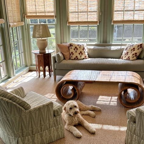 Client Billy gives the rug and natural light in his sunroom a 10/10. Thanks, Bill! 🐕🐾✅ | Instagram Narrow Sunroom Ideas, Narrow Sunroom, Sunroom Ideas, Interesting Interiors, Garden Rooms, New England Style, House Goals, Take A Seat, First Home