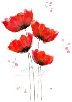 Watercolor Poppies Red - Learning How To Paint Watercolor Poppies, My Way – Part 3 Watercolours Flowers, Red Flower Watercolor, Poppy Paintings, Red Flowers Painting, Poppy Watercolor, Art Galleries Design, Watercolor Poppies, Metal Tree Wall Art, Flower Watercolor