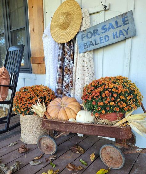 Fall Wagon Decor, Wagon Decor, Decorating Your Front Porch, Mums And Pumpkins, Front Porch For Fall, Mums In Pumpkins, Fall Front Porch Decor Ideas, Fall Front Porch Ideas, Old Wagons