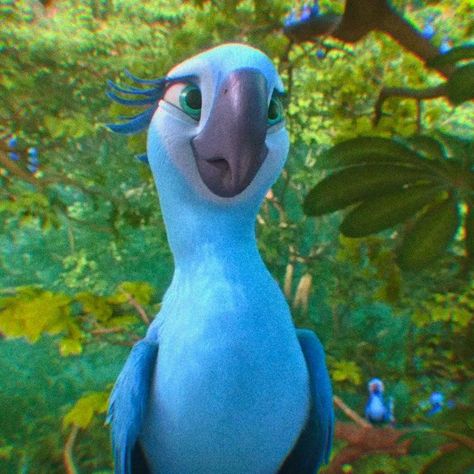 jewel • rio 2 Jewel Rio Icon, Rio Birds Movie, Rio Aesthetic Movie, Rio Movie Aesthetic, Bird From Rio, Jewel Rio, Rio Jewel, Rio Bird, Rio Movie