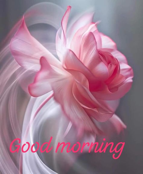 Good Morning Cloudy Day, Good Morning Clips, Morning Flowers, Cloudy Day, Good Morning Flowers, Good Morning Images, Morning Images, Fairy Garden, Good Morning