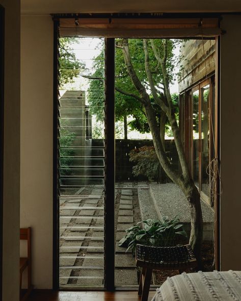 House With Courtyard, Courtyard House, In The Middle, The Middle