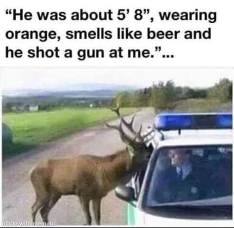 Funny Hunting Pics, Hunting Quotes Funny, Deer Hunting Humor, Hunting Jokes, Funny Deer, Country Jokes, Hunting Humor, Animal Humour, Gra O Tron