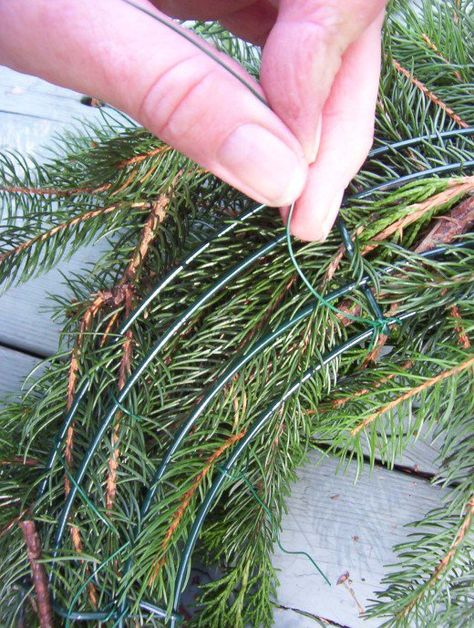 Step by step, illustrated guide on how to make an evergreen Christmas wreath using inexpensive and free materials. Welcome guests to your home with the natural scent of evergreen. Making A Wreath, Diy Christmas Wreath, Wire Wreath Forms, Evergreen Wreath, Christmas Wreaths To Make, Christmas Tree Earrings, Xmas Wreaths, Deco Floral, Noel Christmas