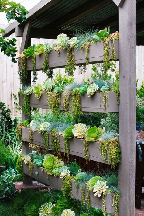 Diy Succulent Planter, Natural Gardening, Succulent Wall Garden, Succulent Garden Landscape, Succulent Wall Planter, Vertical Succulent Gardens, Planter Wall, Vertical Garden Indoor, Vertical Garden Design