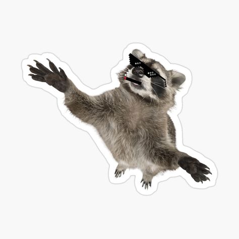 Get my art printed on awesome products. Support me at Redbubble #RBandME: https://www.redbubble.com/i/sticker/Funny-Raccoon-Meme-Gifts-For-Animal-Lovers-by-Cuteanimalgifts/158283060.EJUG5?asc=u Raccoon Meme, Gifts For Animal Lovers, Funny Raccoon, Cute Raccoon, Raccoon Funny, Sticker Funny, Meme Stickers, Redbubble Products, Animal Lovers