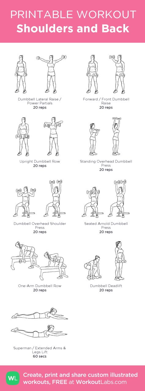 Workout Morning, Back And Shoulder Workout, Workout Fat Burning, Workout Labs, Printable Workout, Transformation Fitness, Printable Workouts, Gym Routine, Back Exercises