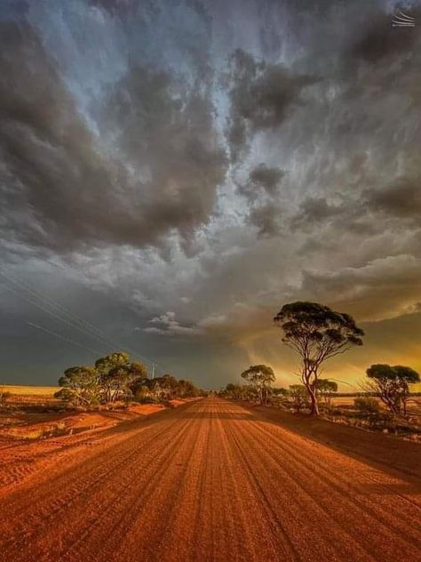 Australia Desert, Rural Photography, Australian Desert, Australia Landscape, Desert Aesthetic, Outback Australia, Australian Bush, Rural Landscape, Green Landscape