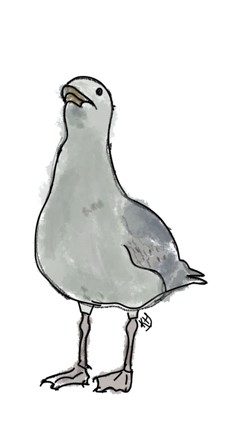 Beach Sketchbook Ideas, Simple Seagull Drawing, Easy Seagull Drawing, Seagull Drawing Cartoon, Seagulls Drawing, Seagull Doodle, Seagull Sketch, Watercolor Seagull, Cartoon Seagull