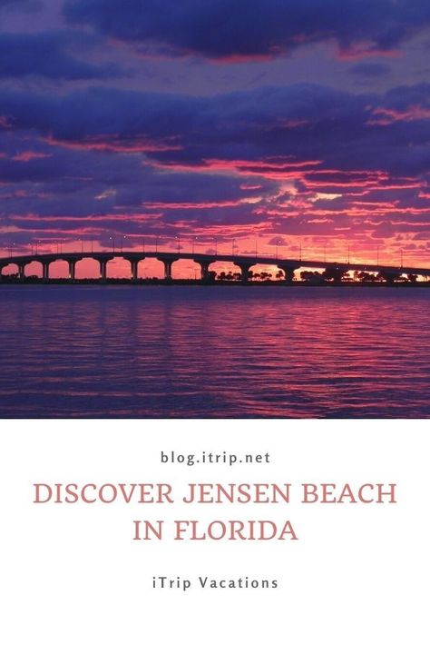 Jensen Beach is located about 2 hours south of Kissimmee and Melbourne, making this area a prime day-trip option. Discover more. Jensen Beach Florida, Indian River Lagoon, Dog Friendly Beach, Jensen Beach, Beach Towns, Fort Pierce, Offshore Fishing, Riverside Park, Treasure Coast