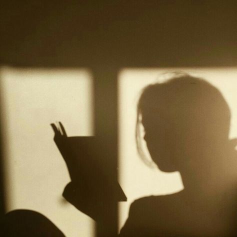 The Shadow, A Book, Reading, Wall