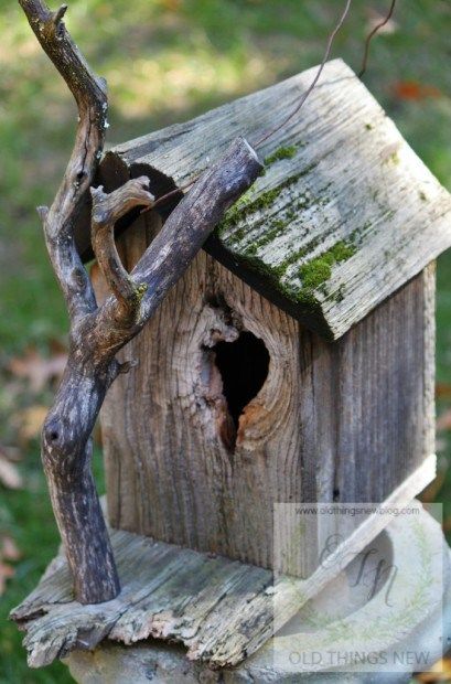 Bird Feeders Craft, Natural Birdhouse, Creative Birdhouses, Bird Feeders Diy, Bird House Plans Free, Birdhouse Projects, Birdhouses Bird Feeders, Homemade Bird Houses, Beautiful Birdhouses