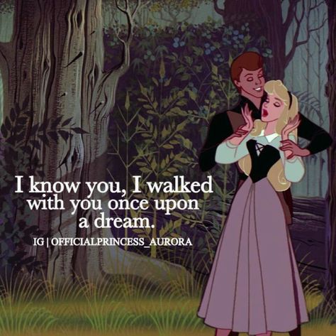 "I know you, I walked with you once upon a dream." Princess Aurora and Prince Phillip I Know You I Walked With You Once Upon, Princess Bridal Shower Ideas, Princess Aurora And Prince Phillip, Aurora And Prince Philip, Sleeping Beauty Quotes, Princess Bridal Shower, Aurora Aesthetic, Fairytale Quotes, Cinderella Wallpaper