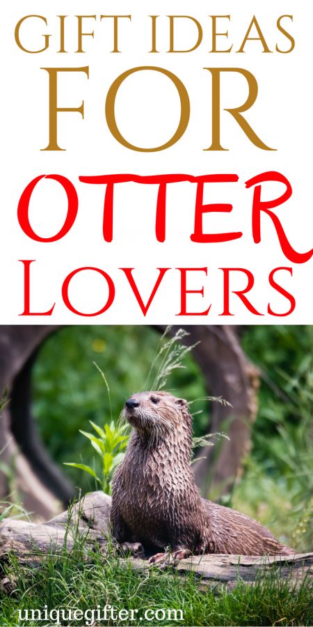 20 Gift Ideas for Otter Lovers Christmas Otter, Otter Jewelry, Otter Birthday, List Of Gift Ideas, Lovers Gift Ideas, Otter Gifts, Presents Birthday, Lover Gift Ideas, Milestone Birthday Gifts