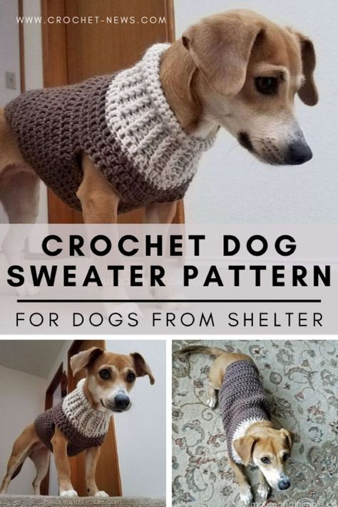 Crochet Dog Sweater Pattern for Dogs from Shelter - Crochet News Large Dog Sweater Pattern, Crochet Dog Sweater Patterns, Crochet Dog Sweater Pattern, Crochet Dog Sweater Free Pattern, Knitted Dog Sweater Pattern, Large Dog Sweaters, Adopted Dog, Crochet Dog Clothes, Dog Sweater Crochet Pattern