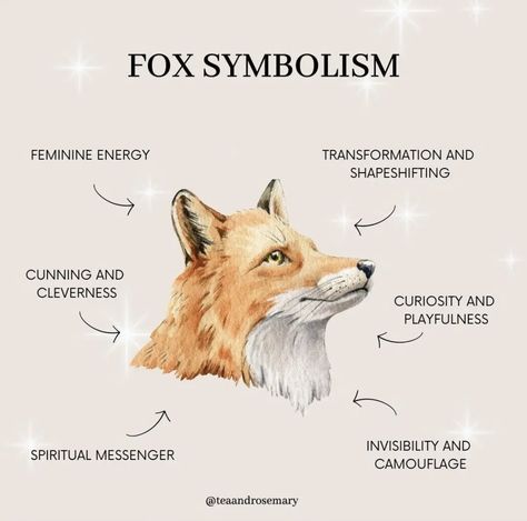 Fox Symbolism, Wicca Aesthetic, Aesthetic Magic, Animal Meanings, Chihiro Y Haku, Spiritual Animal, Spell Work, Animal Spirit Guides, Fox Spirit