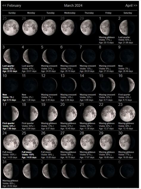 March 2024 Moon Phase Calendar December Full Moon, Moon Phases Calendar, Calendar February, Moon Date, Moon Phase Calendar, July Calendar, November Calendar, Lunar Phases, Calendar March