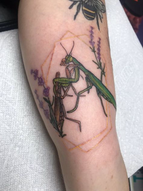 Off with his head Man Eater Tattoo, Off With His Head, Florida Tattoos, Man Eater, Bug Tattoo, Tattoo Script, New School Tattoo, Realism Tattoo, Tattoo Model