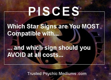 Pisces Dates and Compatibility are analysed and revealed in this exclusive report. Discover the best and worst matches for a Pisces date today. Pisces Dates, What Is Birthday, Pisces Star Sign, Horoscope Love Matches, Free Daily Horoscopes, Online Dating Apps, Astrology Compatibility, Numerology Chart, Date Today