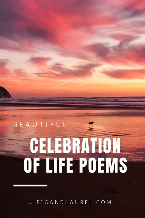 Poems About Remembering Loved Ones, Memory Poems Celebration Of Life, Poems For Memorial Cards, Quotes For A Celebration Of Life, Prayers At Funerals, Celebration Of Life Handout, Poem For Passed Loved Ones, Poetry For Funerals, Funerals Are For The Living Quote